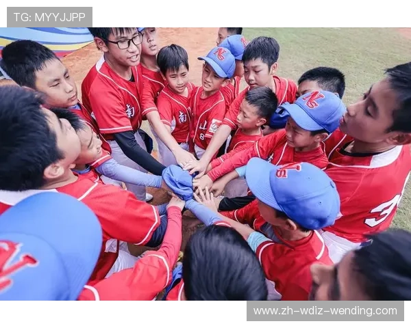 青少年棒球普及的挑战与解决方案